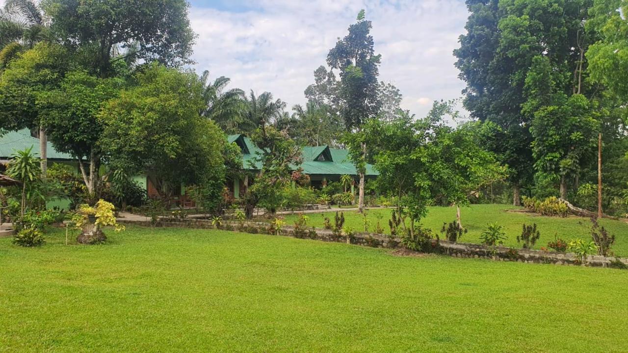 Wisma Batu Mandi Bukit Lawang Extérieur photo