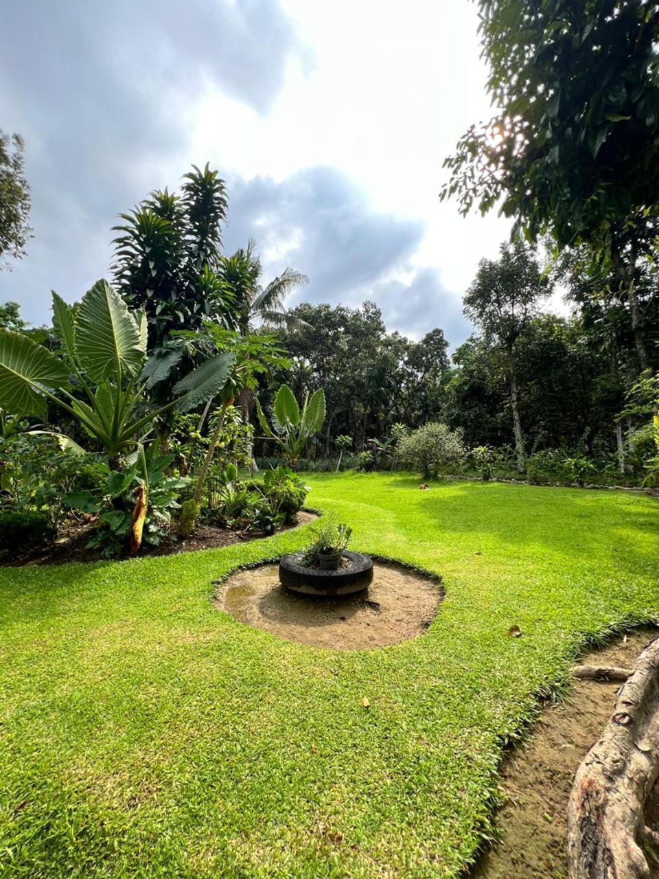 Wisma Batu Mandi Bukit Lawang Extérieur photo