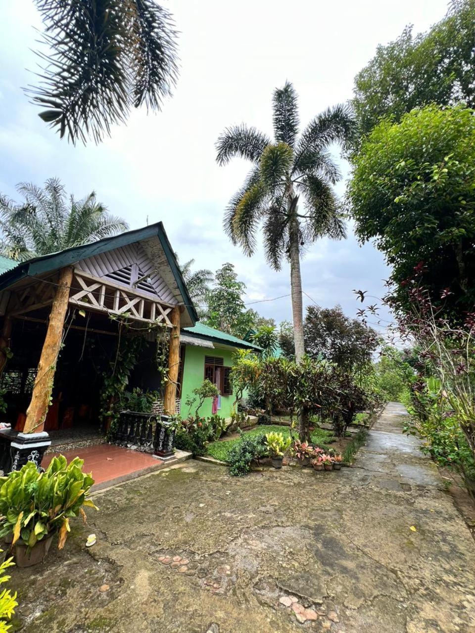 Wisma Batu Mandi Bukit Lawang Extérieur photo