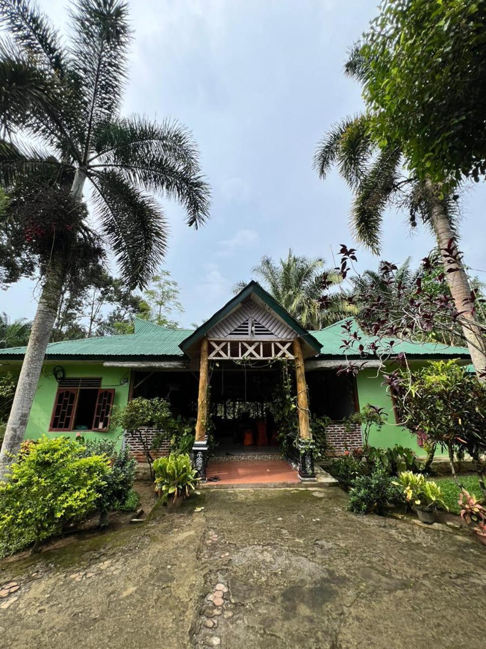 Wisma Batu Mandi Bukit Lawang Extérieur photo