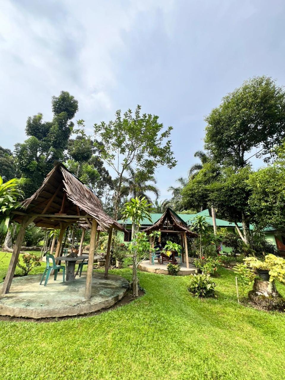 Wisma Batu Mandi Bukit Lawang Extérieur photo