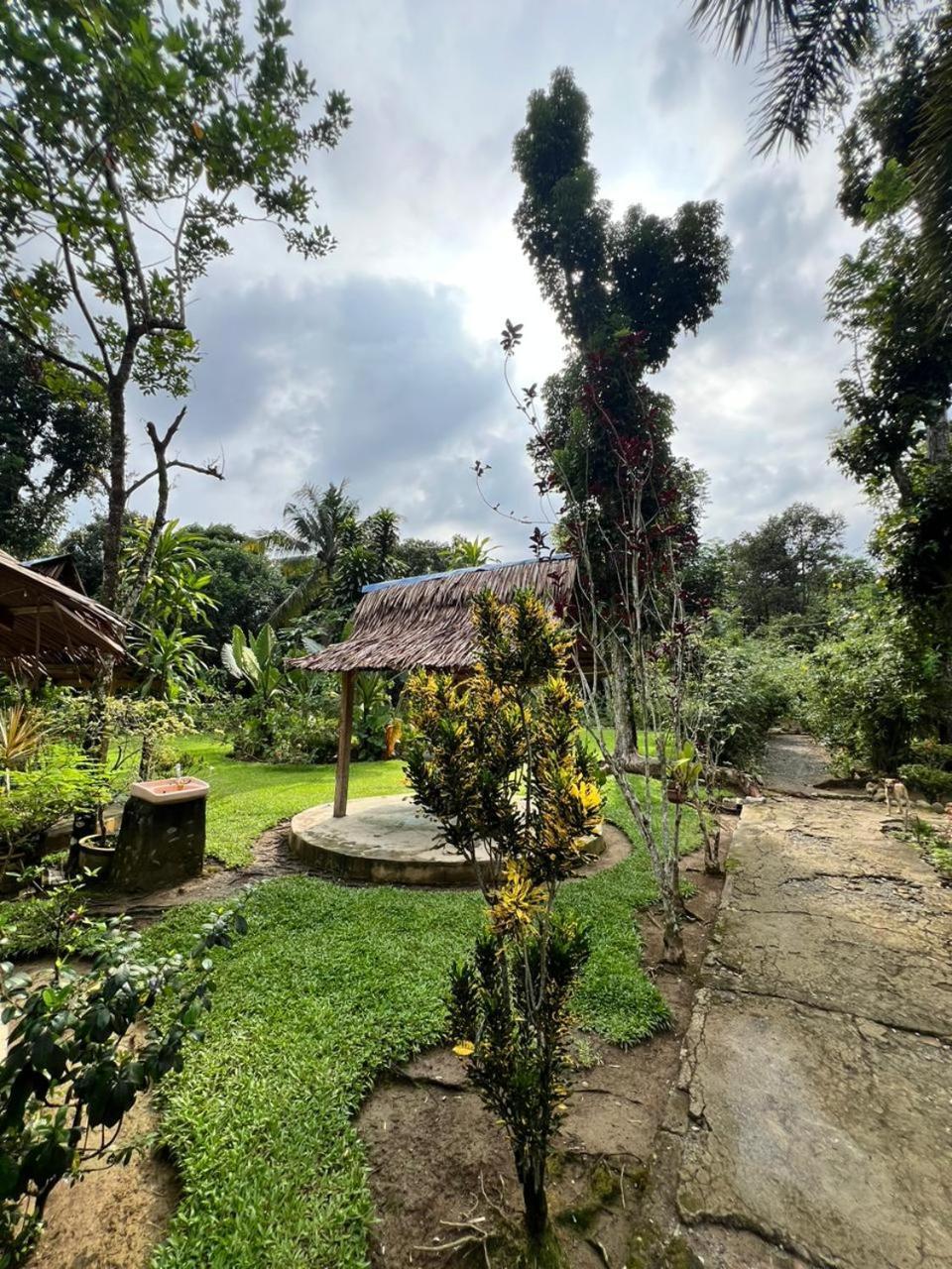 Wisma Batu Mandi Bukit Lawang Extérieur photo