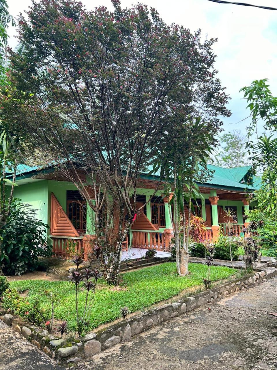 Wisma Batu Mandi Bukit Lawang Extérieur photo