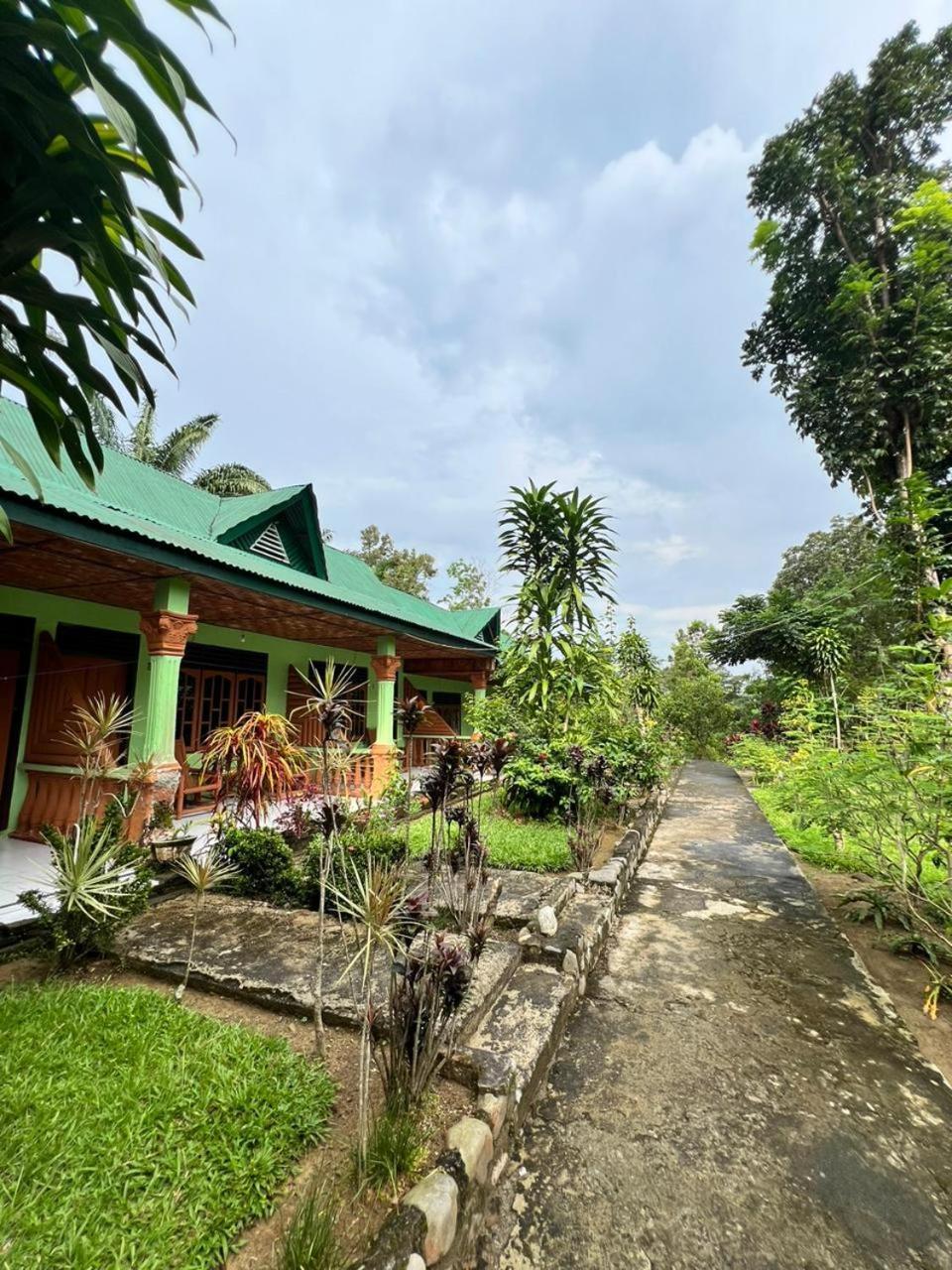 Wisma Batu Mandi Bukit Lawang Extérieur photo