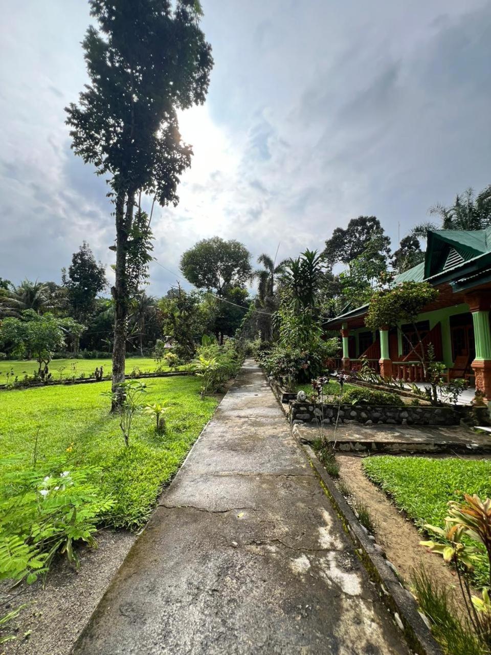 Wisma Batu Mandi Bukit Lawang Extérieur photo
