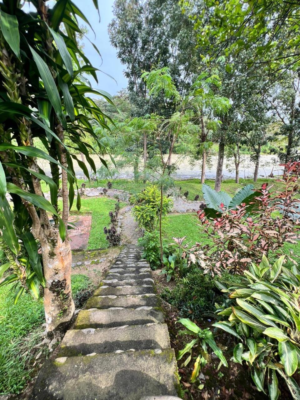 Wisma Batu Mandi Bukit Lawang Extérieur photo