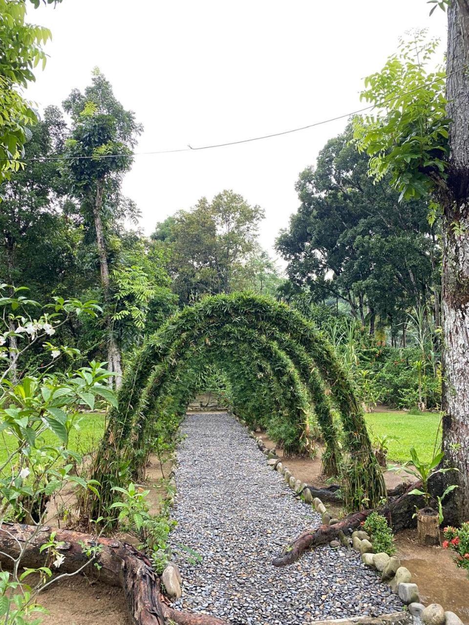 Wisma Batu Mandi Bukit Lawang Extérieur photo