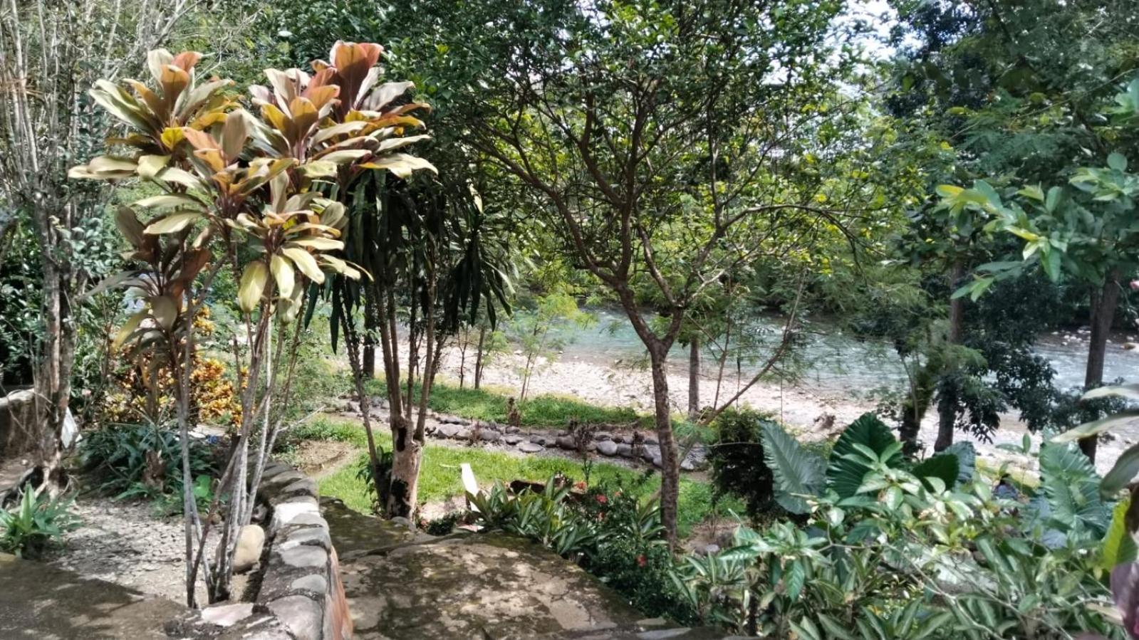 Wisma Batu Mandi Bukit Lawang Extérieur photo